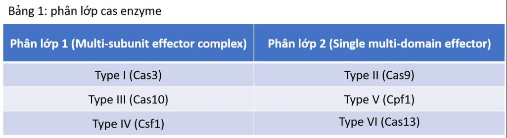Làm sao để tạo ra được một virus có khả năng chỉnh sửa gene bằng công nghệ CRISPR/Cas9