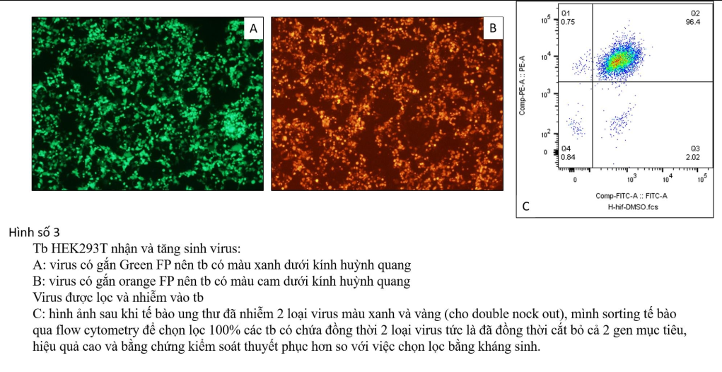 Làm sao để tạo ra được một virus có khả năng chỉnh sửa gene bằng công nghệ CRISPR/Cas9