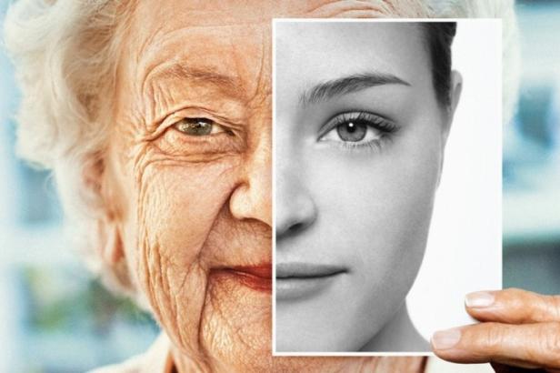 Aging – Lesson 2 – Overview of the mechanism of aging