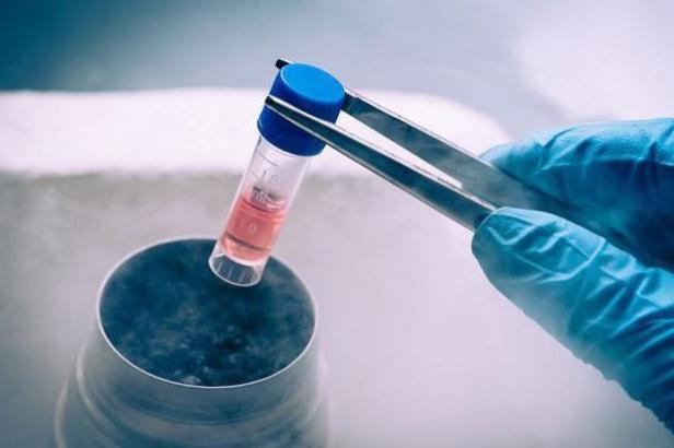 Products related to stem cells in beauty and medicine